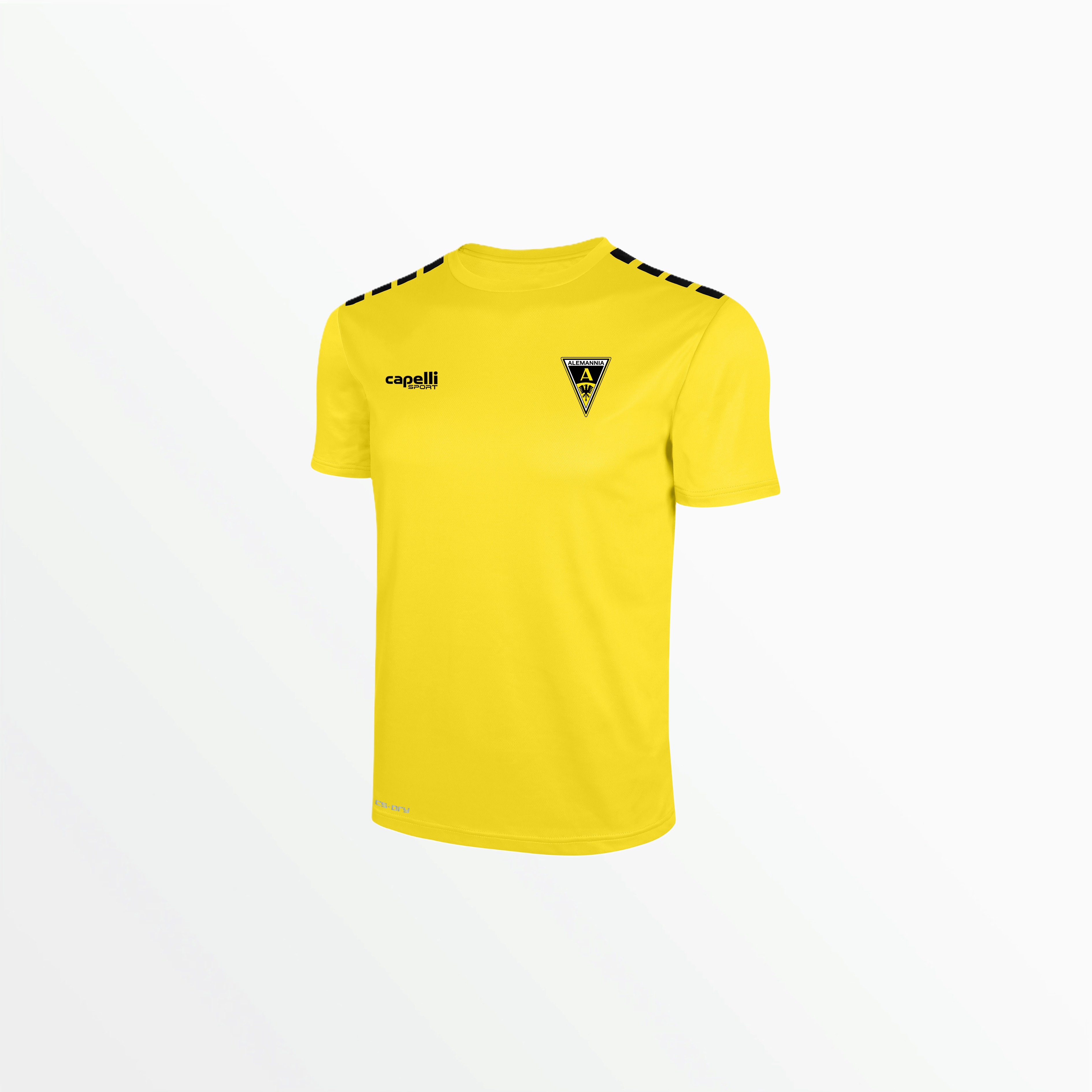 TEAM Jersey - Alemannia Aachen