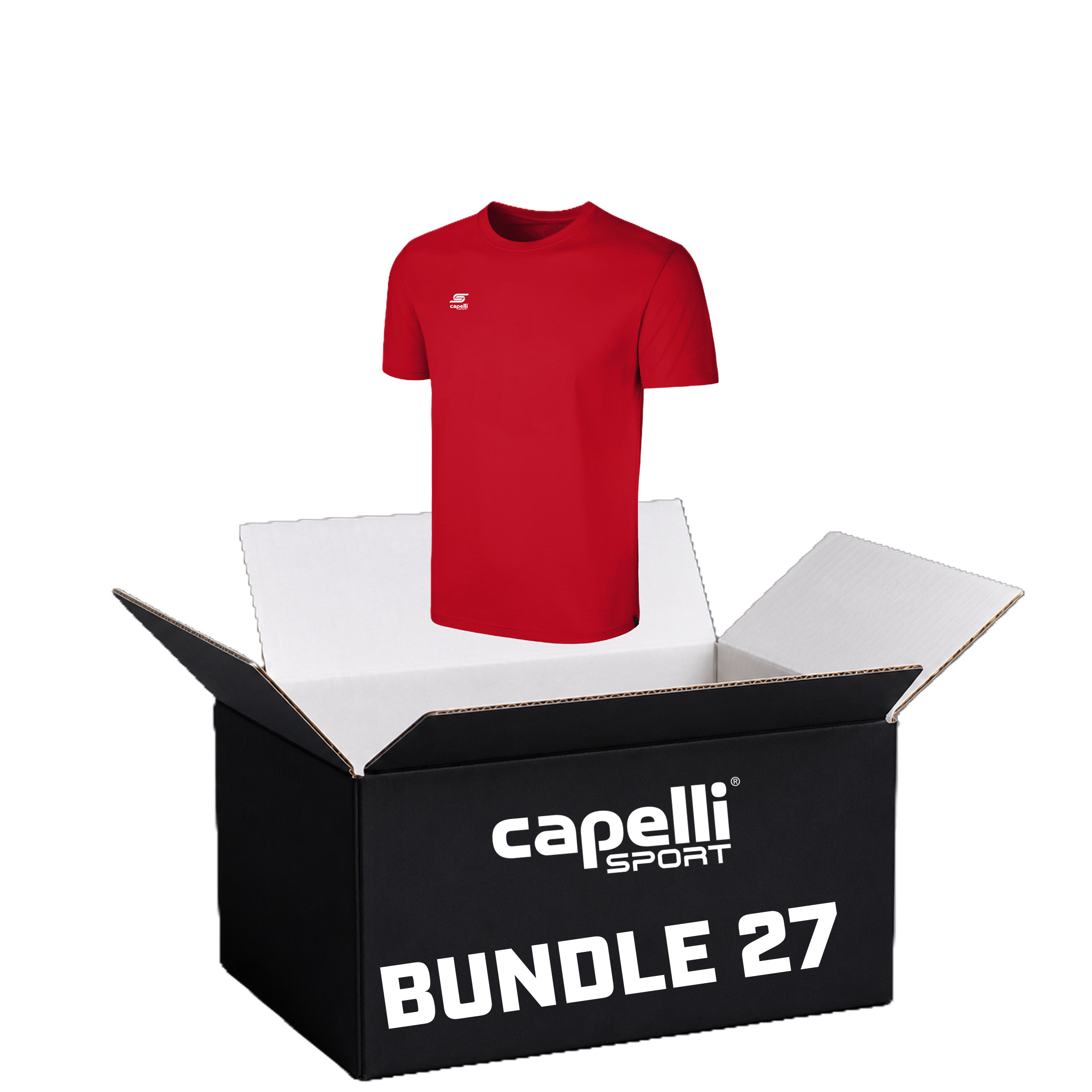 Bundle 27 - Adult BASICS T-Shirt