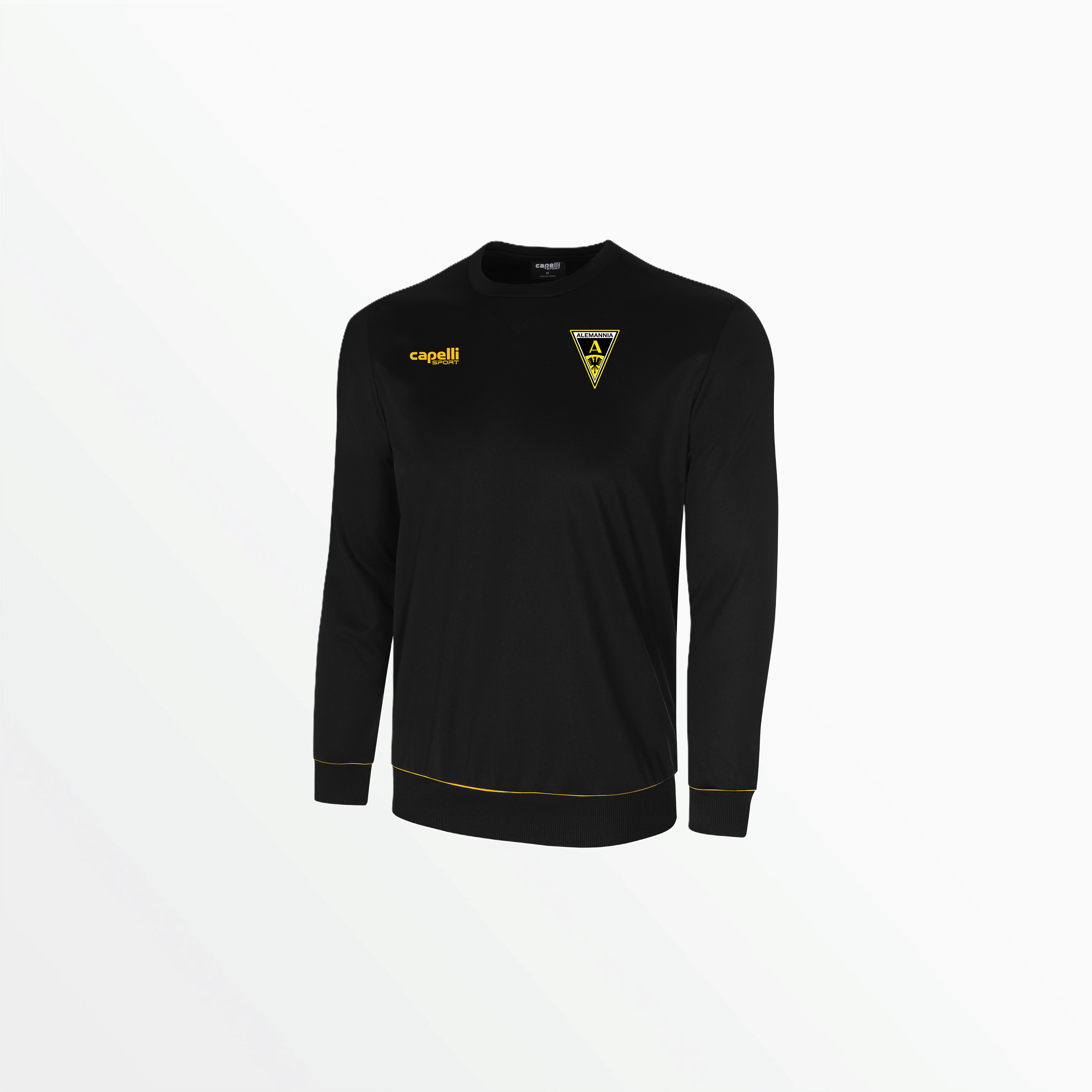BASICS I Long Sleeve Sweat Top - Alemannia Aachen